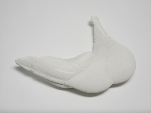 Colibri_001