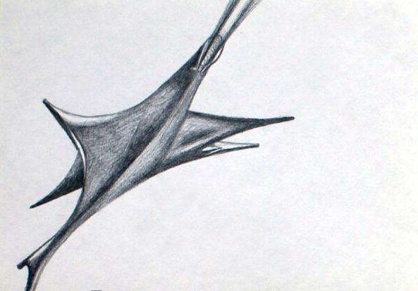 dessin fabulation 7662 A