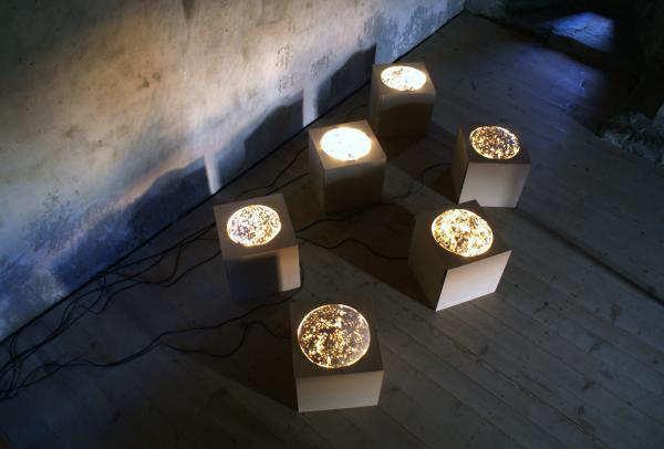 stardust 2005
