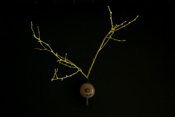 T'smoke-2010