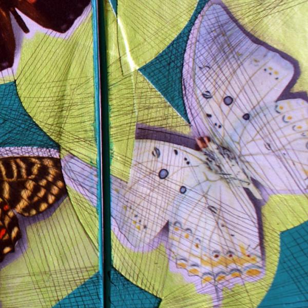 slice of butterflies detail