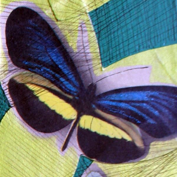 slice of butterflies detail